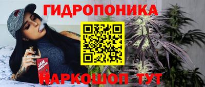 прущие грибы Гай