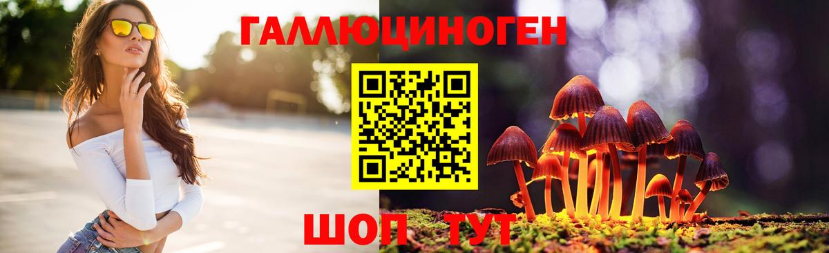 Новоуральск  Псилоцибиновые грибы Magic Shrooms  Вход с VPN  Галлюциногенные грибы Psilocybe 